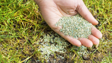 Mulch, Topsoil, or Compost? A Fredericton Homeowner’s Guide to Buying Bulk