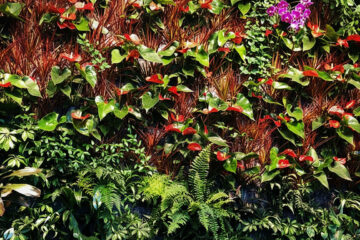 Custom vertical living wall design by Earthworks Landscape & Design, adding a tropical aesthetic to a Fredericton pool house installation.